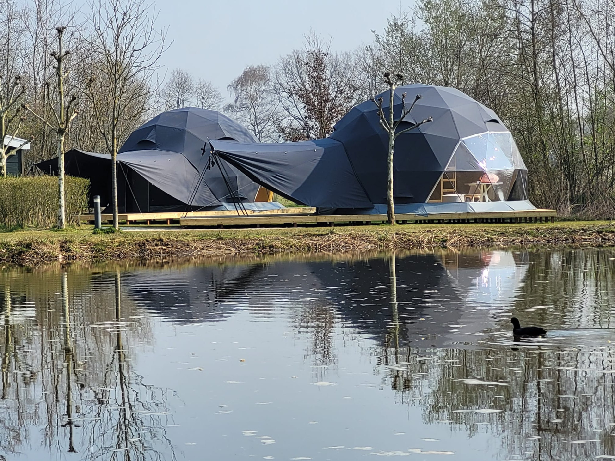 Glamping Domes for Sale – What Are Glamping Domes, Why Buy Them, and What Factors Should I Consider?